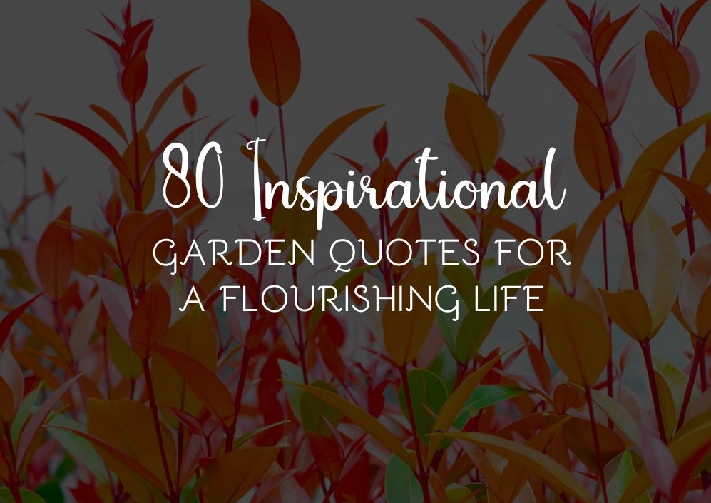 80 Inspirational Garden Quotes For A Flourishing Life