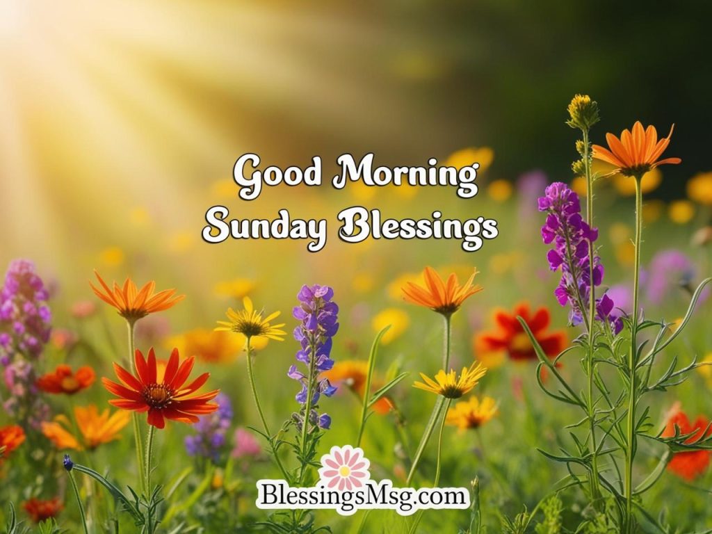 Good Morning Sunday Blessings 1